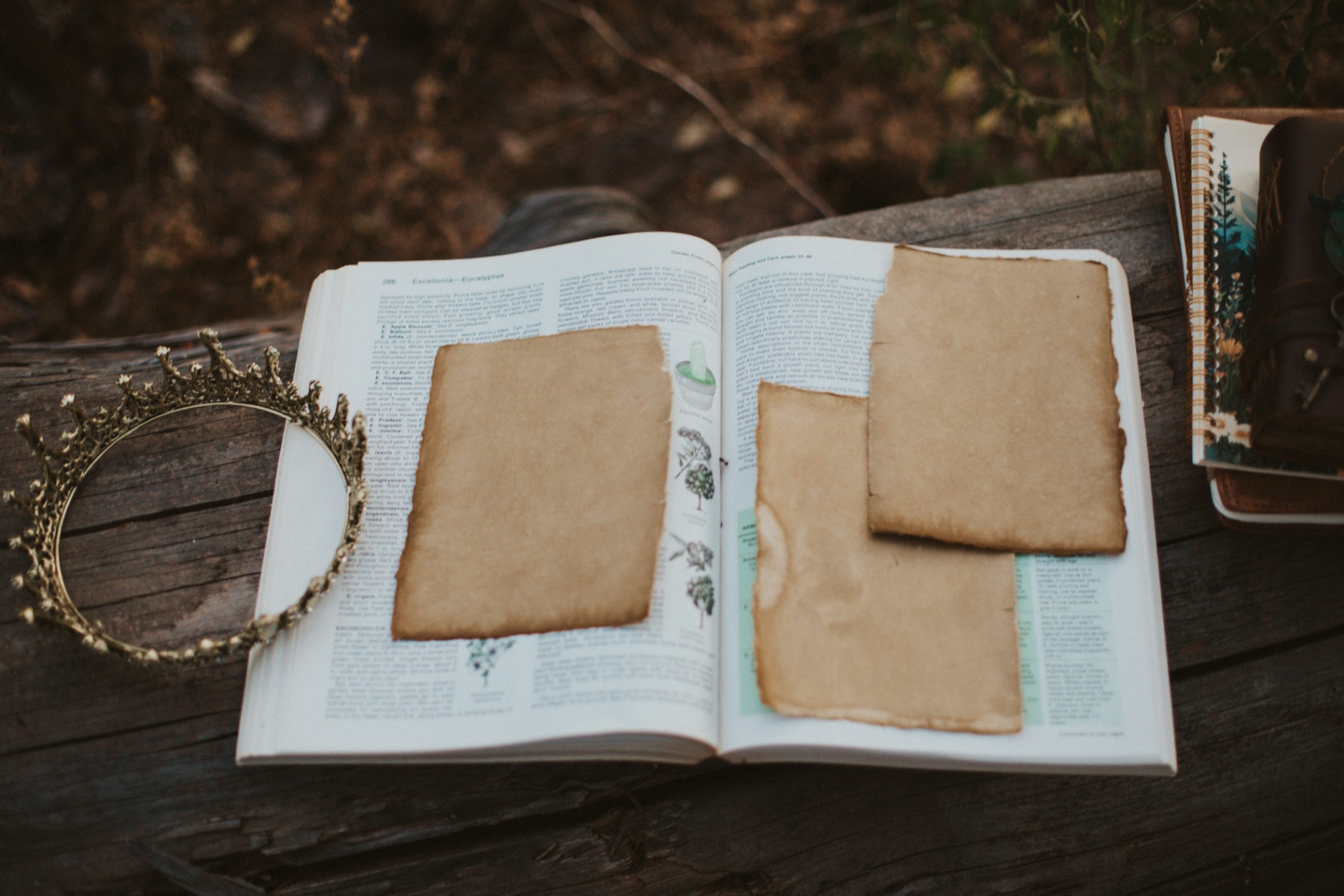 An open garden book with aged notepaper and a gold crown
